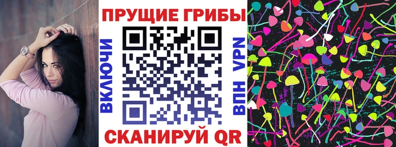 где найти   Арамиль  Псилоцибиновые грибы MAGIC MUSHROOMS 